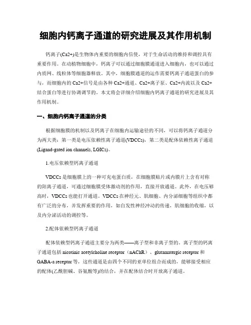 细胞内钙离子通道的研究进展及其作用机制