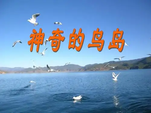 《神奇的鸟岛》PPT优秀课件2