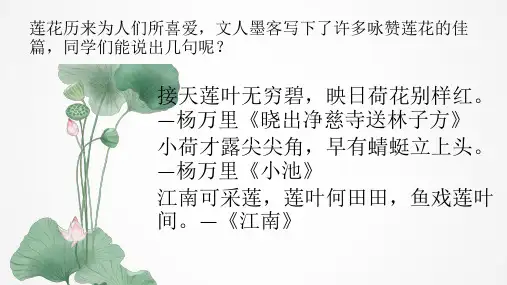 《苏幕遮》课件 人教版高中语文选修《中国古代诗歌散文欣赏》