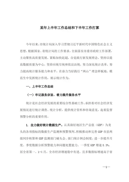 某年上半年工作总结和下半年工作打算