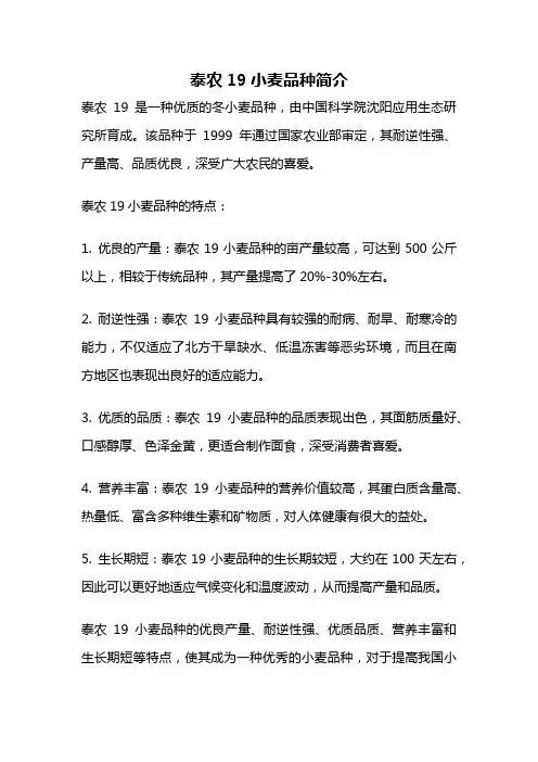 泰农19小麦品种简介