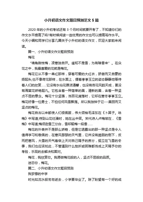 小升初语文作文题目预测范文5篇