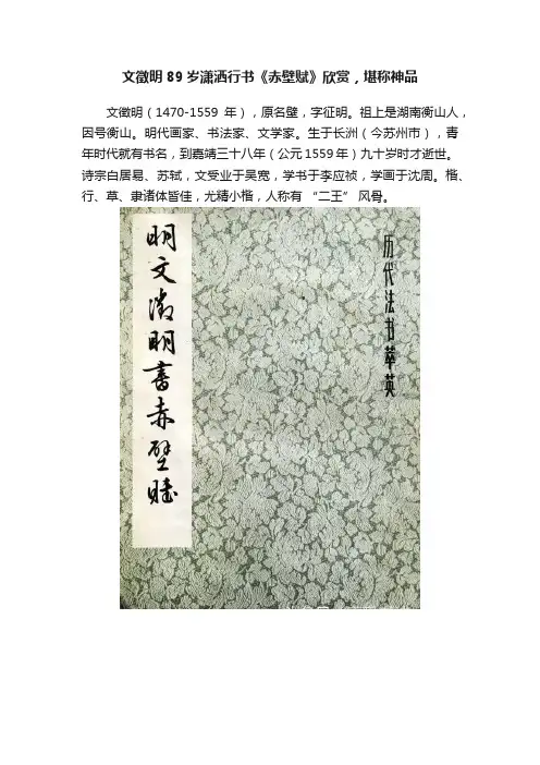 文徵明89岁潇洒行书《赤壁赋》欣赏，堪称神品