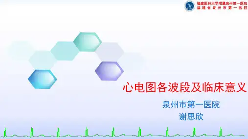 心电图各波段及临床意义