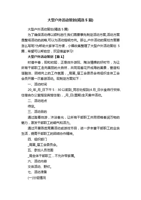 大型户外活动策划（精选5篇）