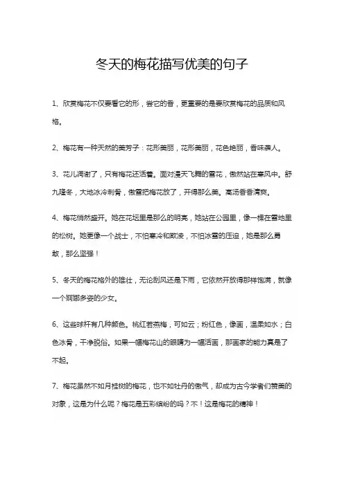 冬天的梅花描写优美的句子