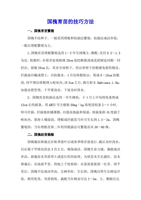 国槐育苗的技巧方法