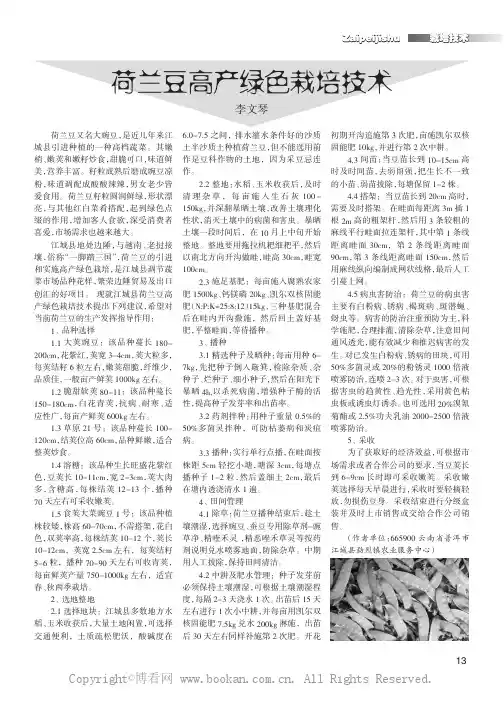 荷兰豆高产绿色栽培技术