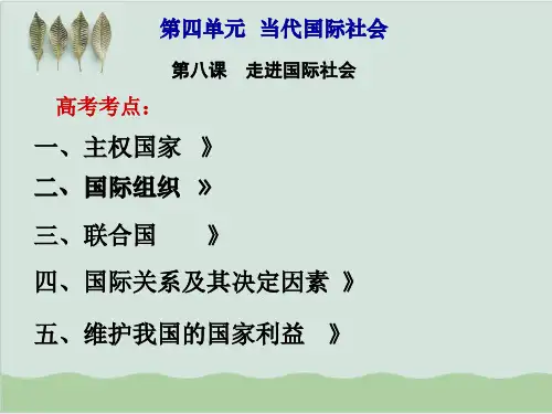 走进国际社会 教学课件4 人教课标版.ppt