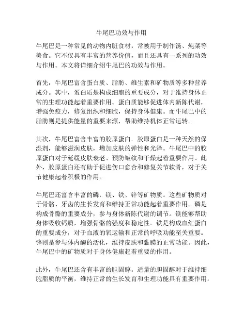 牛尾巴功效与作用