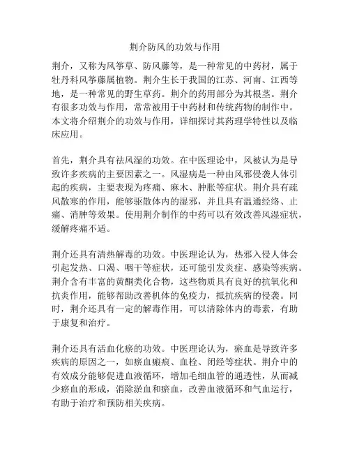 荆介防风的功效与作用