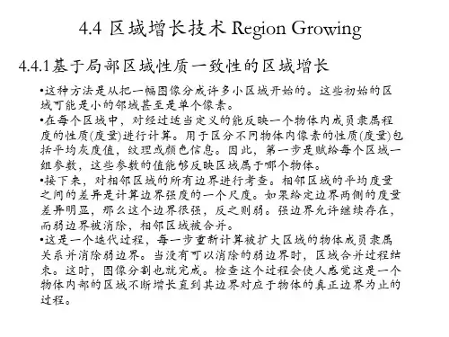 第4章医学图像分割(4.4-4.5)_PPT课件