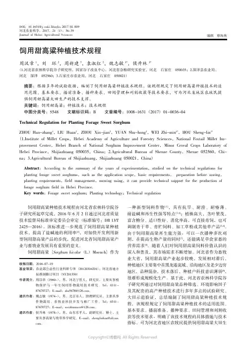 13933397_饲用甜高粱种植技术规程