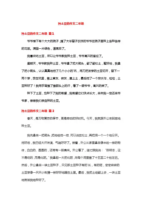 种土豆的作文二年级