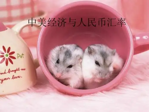 国际经融 中美经济与人民币汇率问题