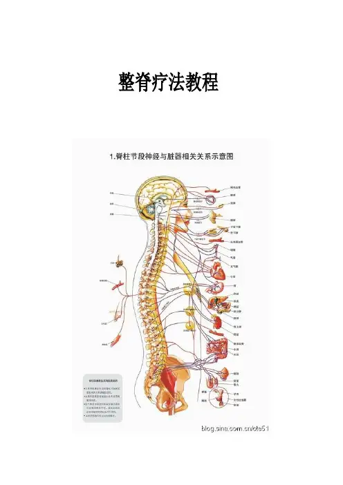 整脊疗法教程