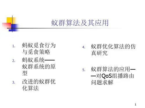 蚁群算法详细讲解
