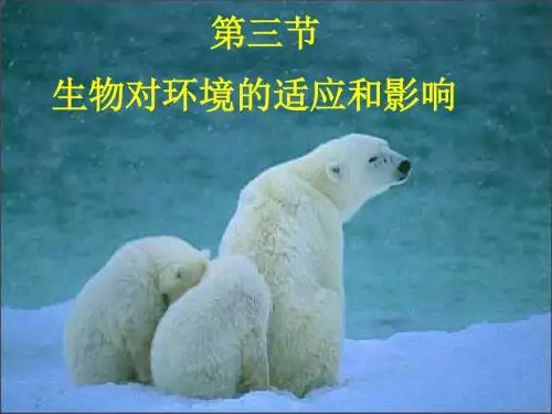 【初中生物】生物对环境的适应和影响PPT课件21
