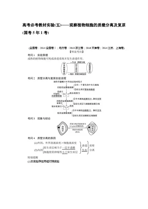 高考生物必考教材实验(五)——观察植物细胞的质壁分离及复原