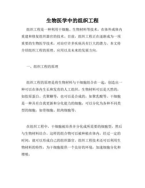 生物医学中的组织工程