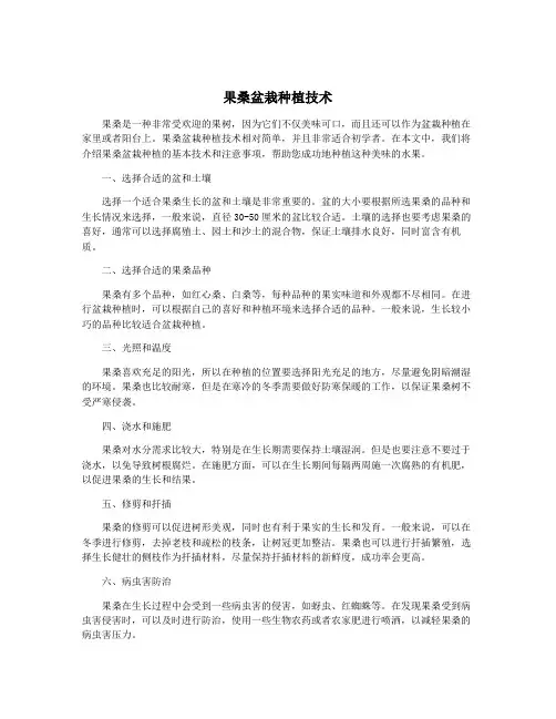 果桑盆栽种植技术