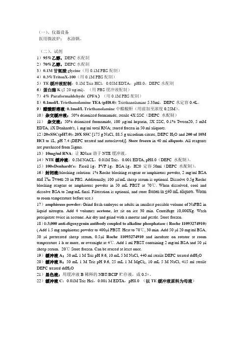 原位杂交操作过程