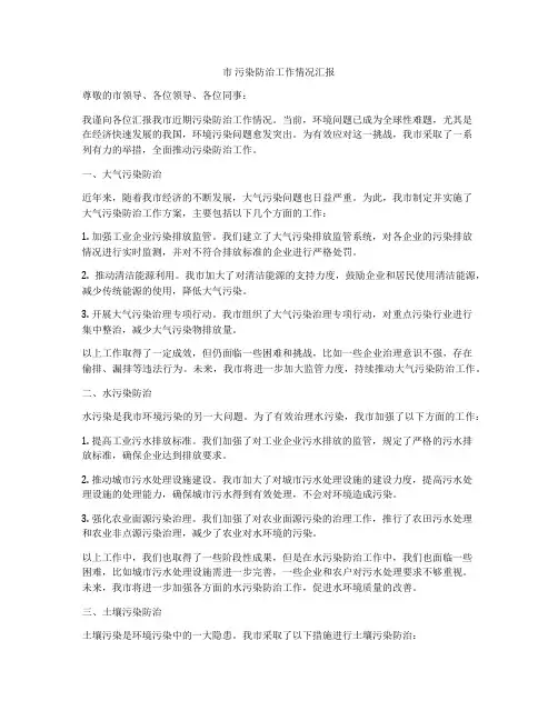 市 污染防治工作情况汇报