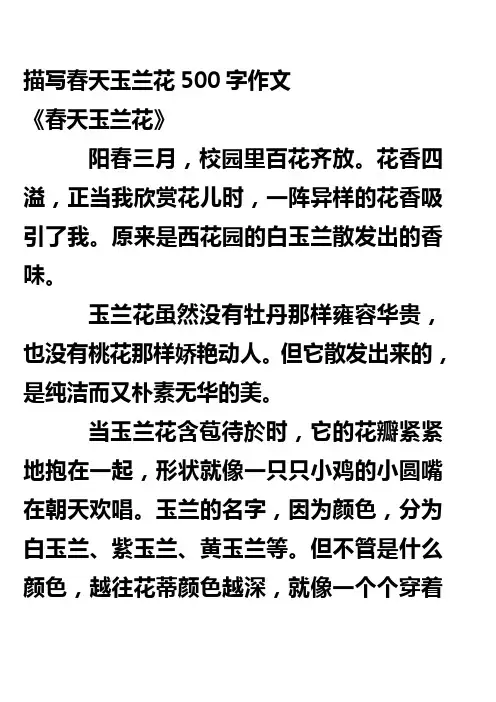 描写春天玉兰花500字作文
