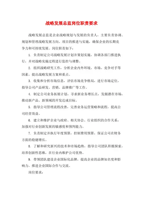 战略发展总监岗位职责要求