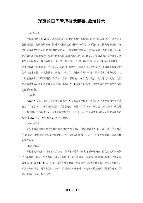 洋葱的田间管理技术蔬菜,栽培技术