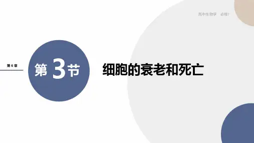 新教材-高中生物学-RJ-必修1第6章- 第3节