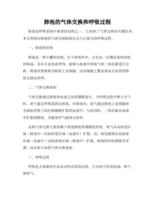 肺泡的气体交换和呼吸过程