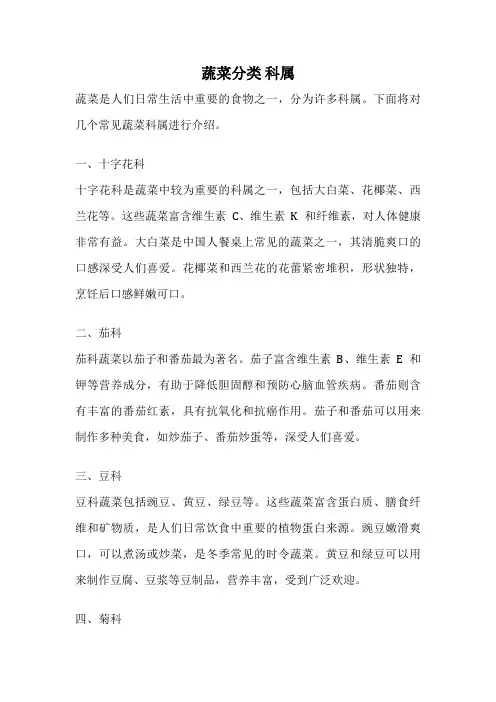 蔬菜分类 科属