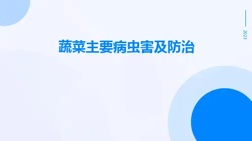 蔬菜主要病虫害及防治