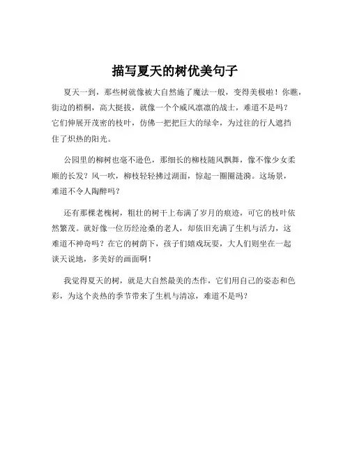 描写夏天的树优美句子