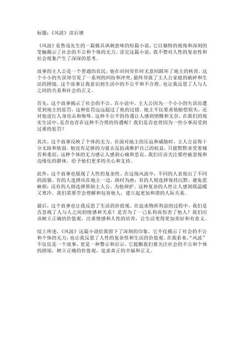 风波读后感1000字