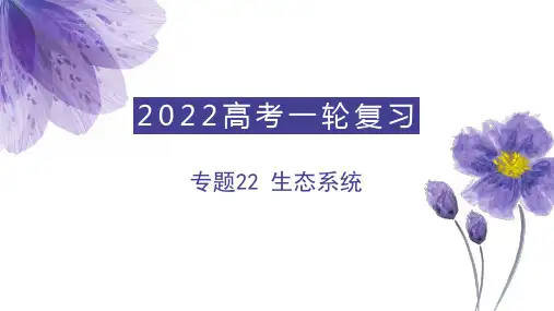 生态系统(课件)-高考生物一轮复习(共79张PPT)