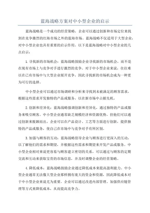 蓝海战略方案对中小型企业的启示
