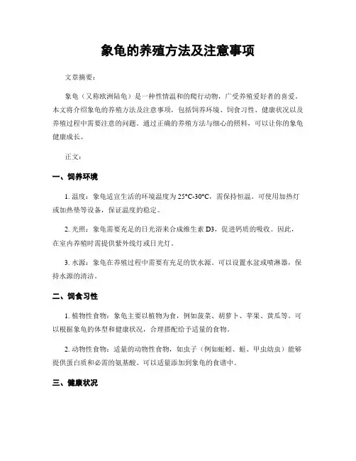 象龟的养殖方法及注意事项