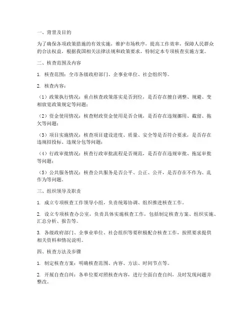 专项核查实施方案