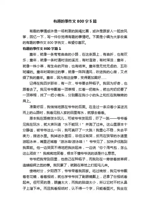 有趣的事作文800字5篇