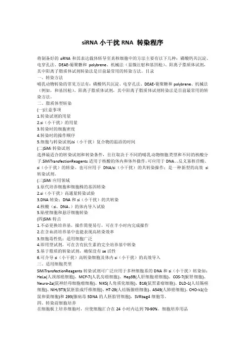 sirna小干扰rna转染程序
