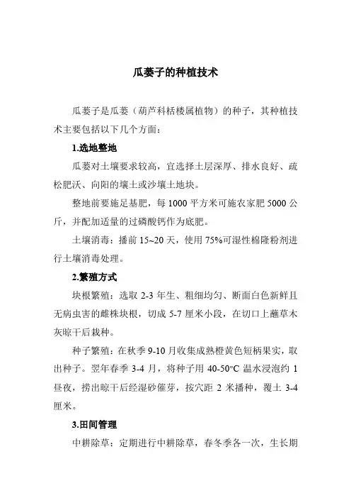 瓜蒌子的种植技术