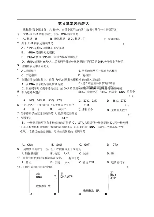 第四章基因的表达练习
