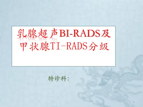 乳腺分级ppt课件【55页】