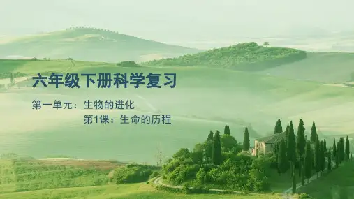 六年级下册科学湘科版第一单元生命的历程(复习课件)(18ppt)