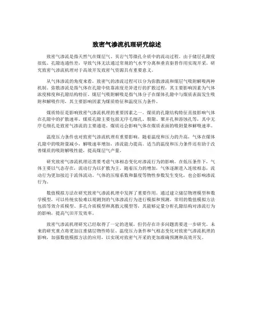 致密气渗流机理研究综述