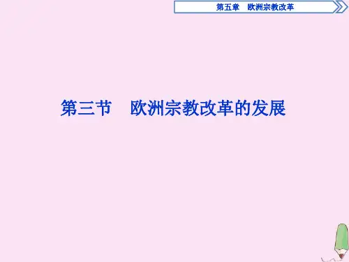 2019_2020学年高中历史第五章欧洲宗教改革第三节欧洲宗教改革的发展课件北师大版选修1
