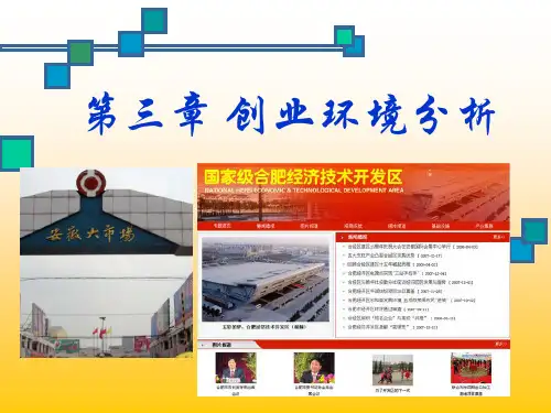 第三章 创业环境分析