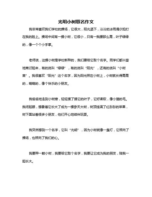 光明小树取名作文